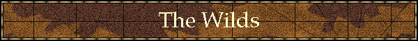 The Wilds