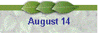 August 14